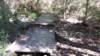 img_20171017_130721032_small.jpg