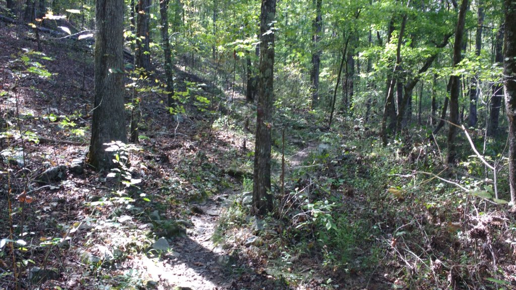 img_20171017_134147815.jpg