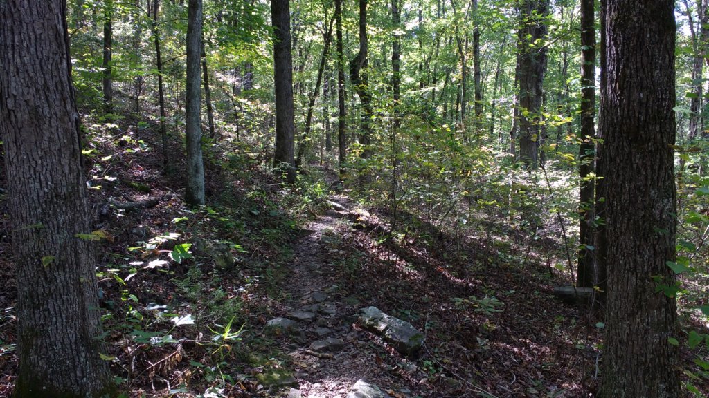 img_20171017_134910106.jpg