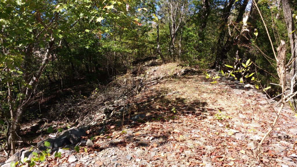 img_20171017_142415589.jpg