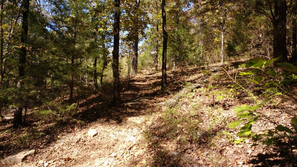img_20171017_143224925.jpg