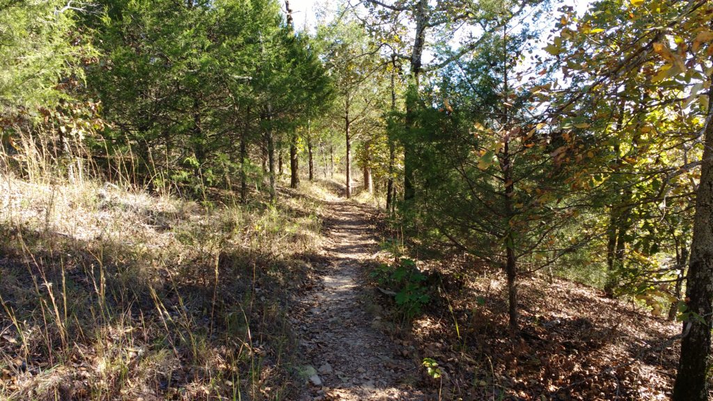 img_20171017_143751567.jpg