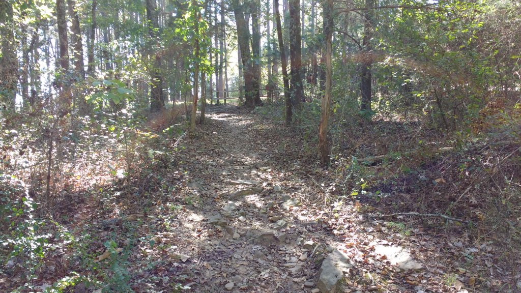img_20171017_145334012.jpg