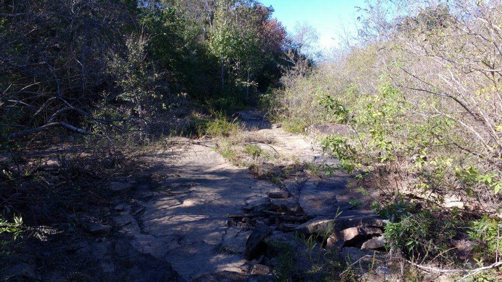 img_20171017_145905788.jpg