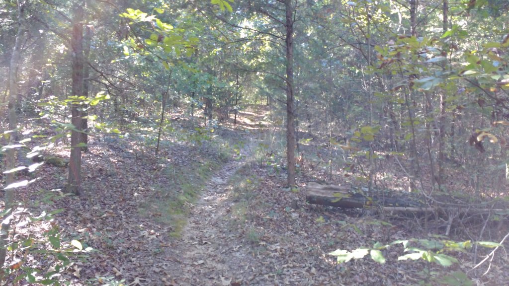 img_20171017_151132114.jpg