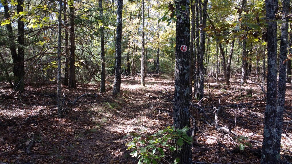img_20171017_151353355.jpg