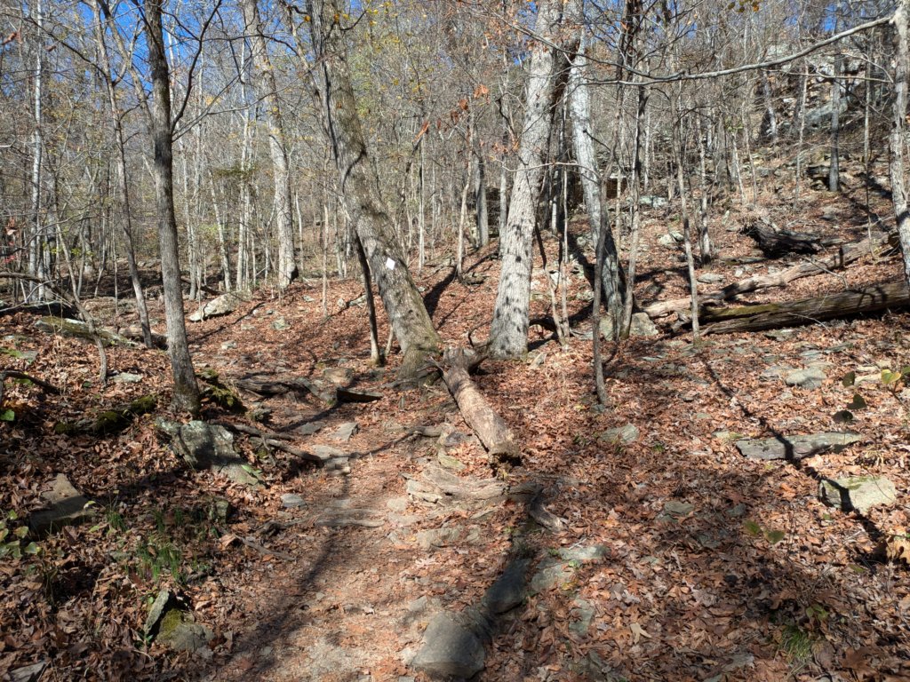 pxl_20241112_171533895.jpg