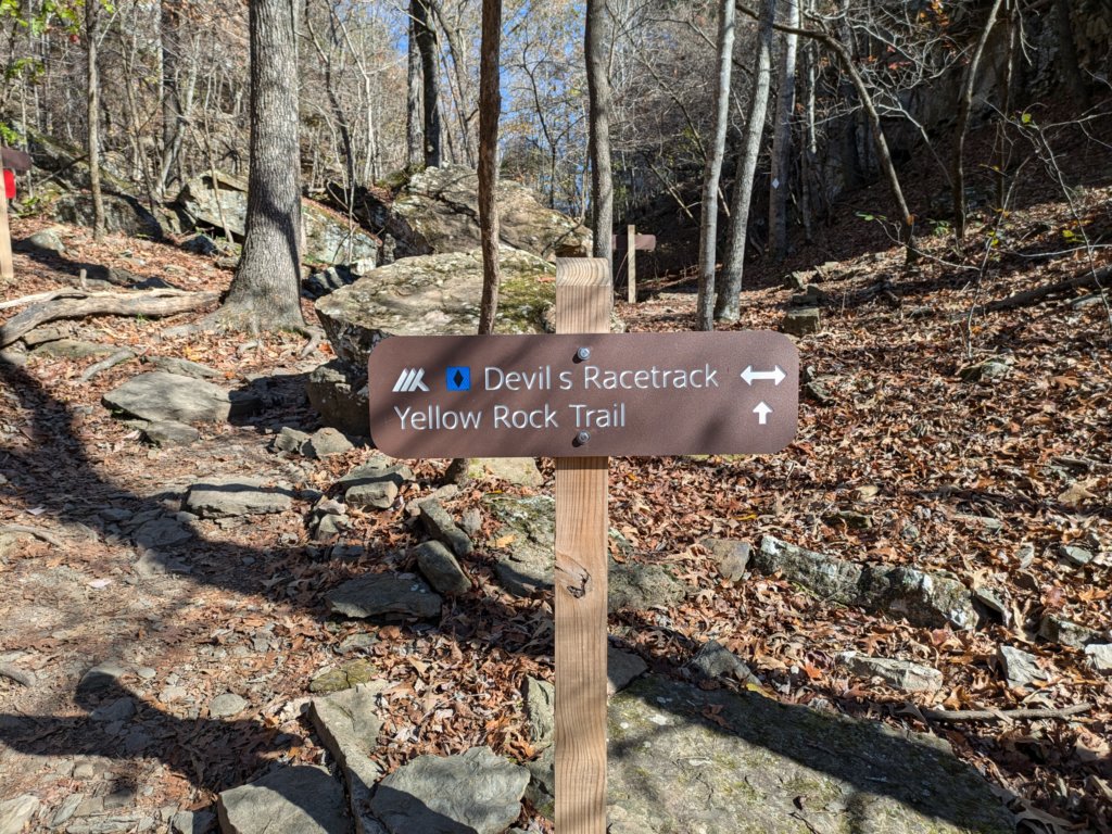 pxl_20241112_171746743mp.jpg