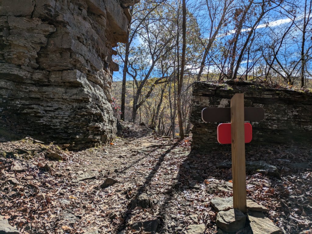 pxl_20241112_171845670.jpg