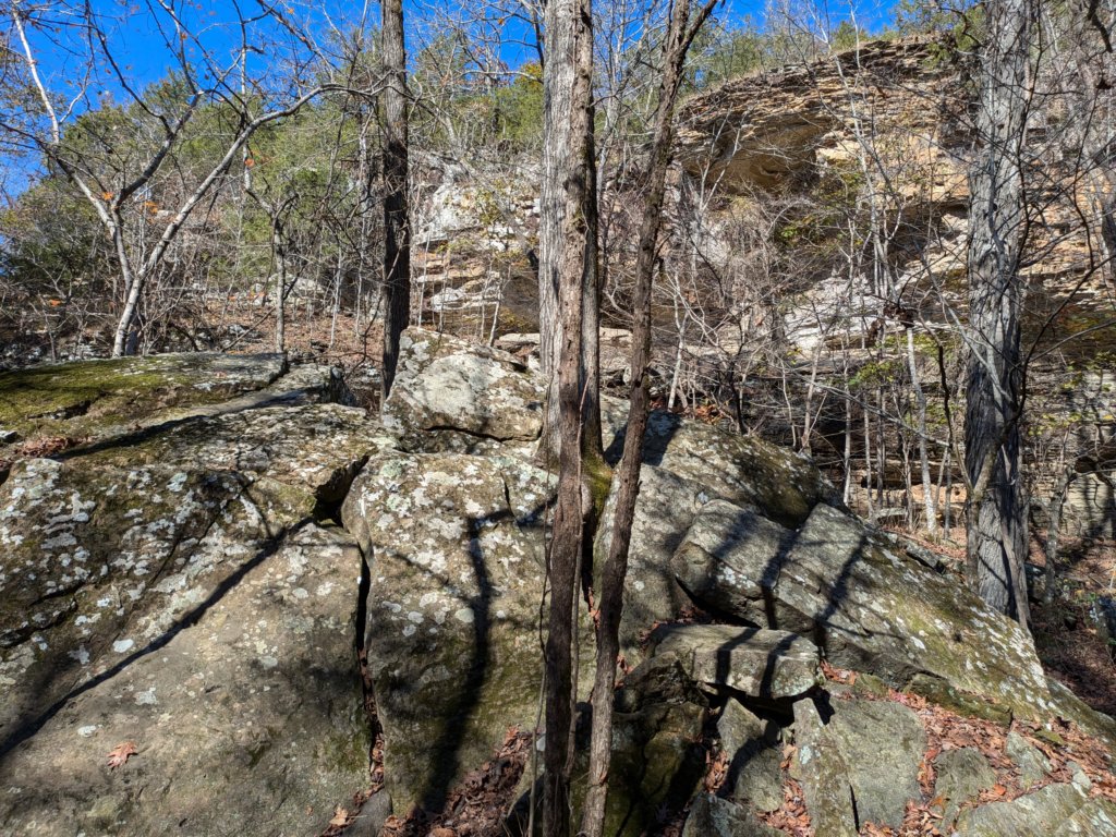 pxl_20241112_171922436.jpg