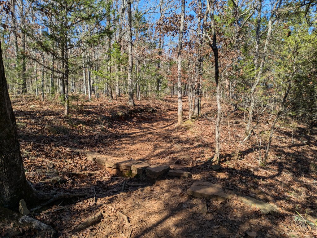 pxl_20241112_172940504.jpg