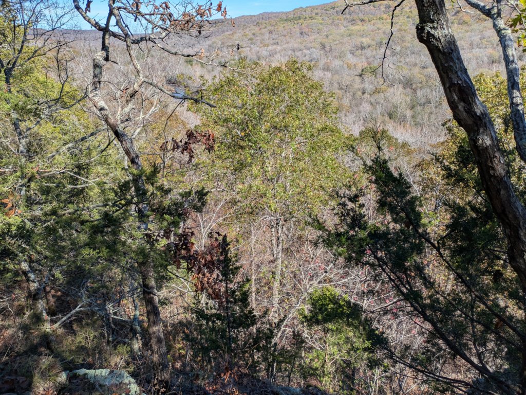 pxl_20241112_173158737.jpg
