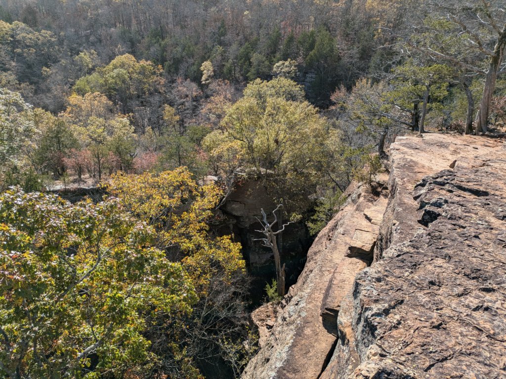 pxl_20241112_174523400.jpg