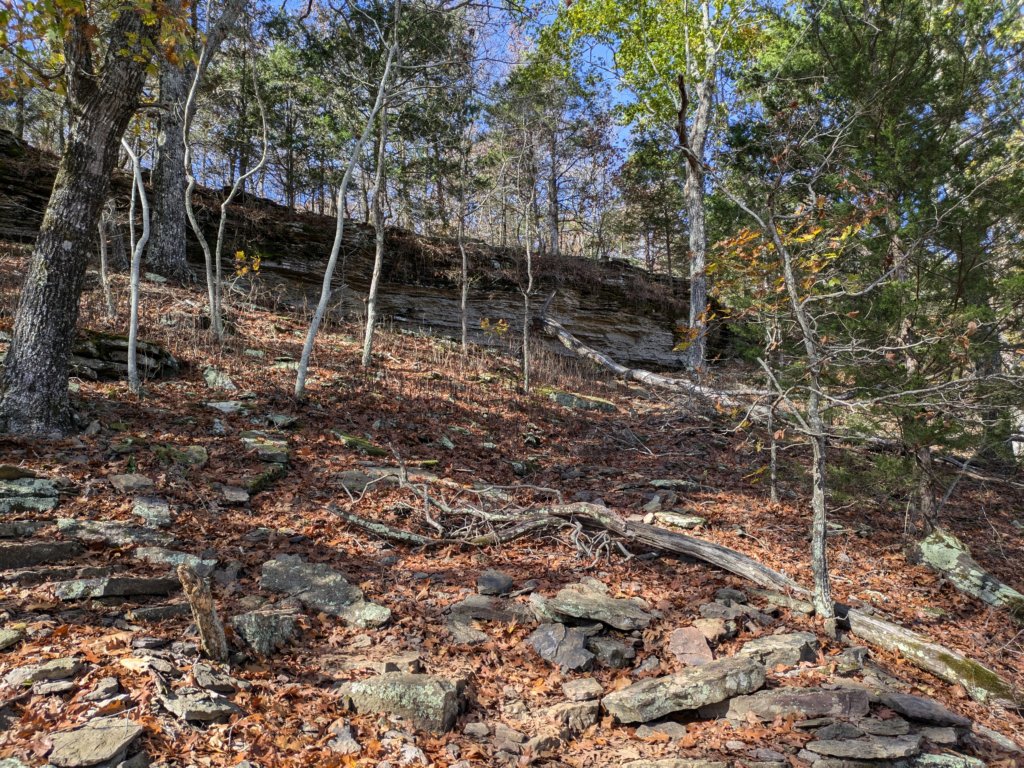 pxl_20241112_175048061.jpg