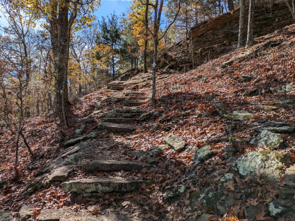 pxl_20241112_175133867.jpg