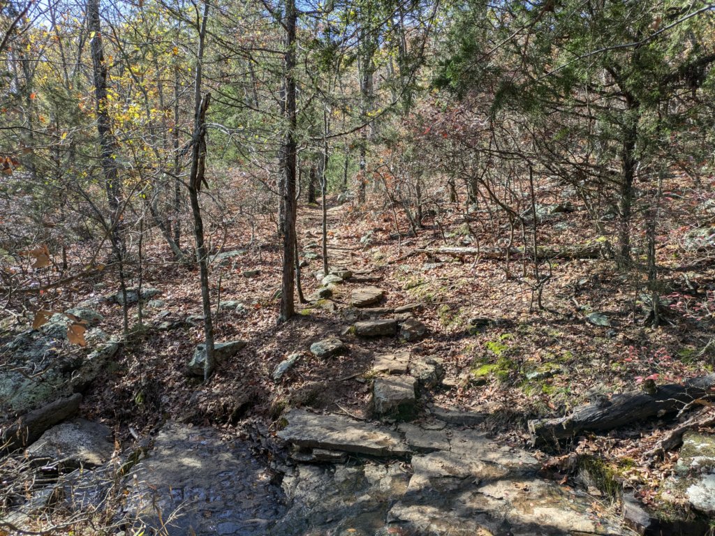 pxl_20241112_175518053.jpg