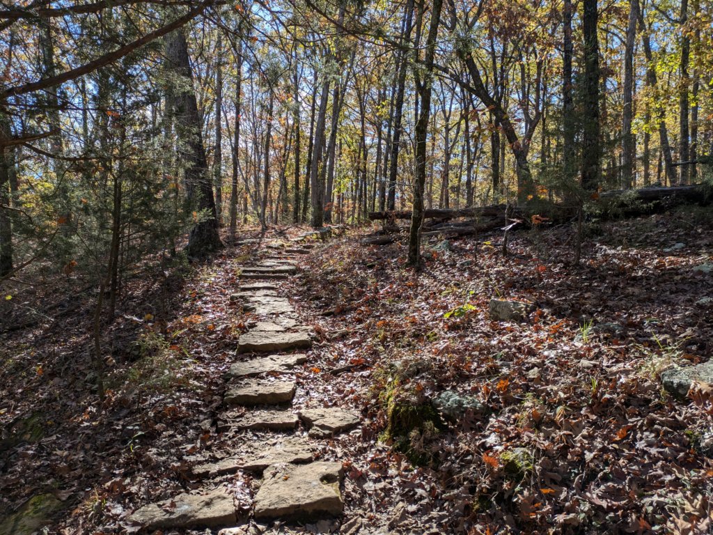 pxl_20241112_175641664.jpg