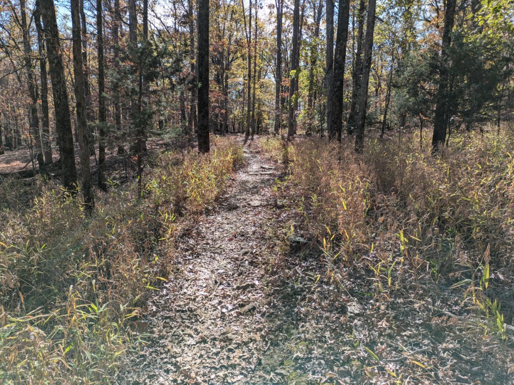 pxl_20241112_175744129.jpg