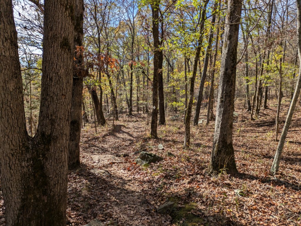 pxl_20241112_180411047.jpg