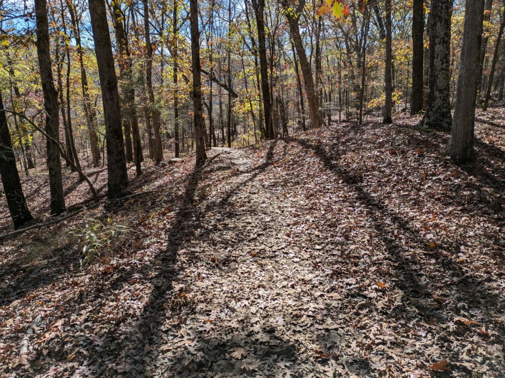 pxl_20241112_180521557.jpg