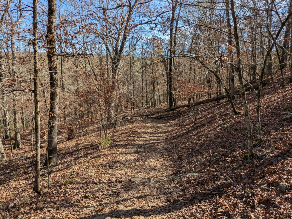 pxl_20241112_181741296.jpg