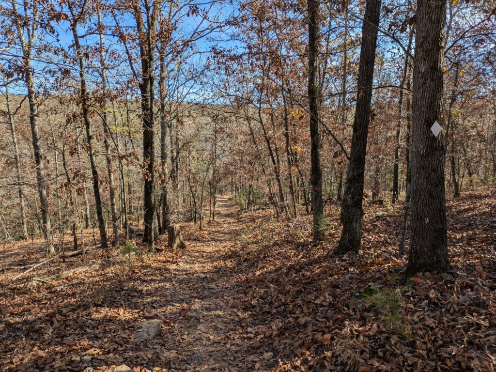 pxl_20241112_181829505.jpg