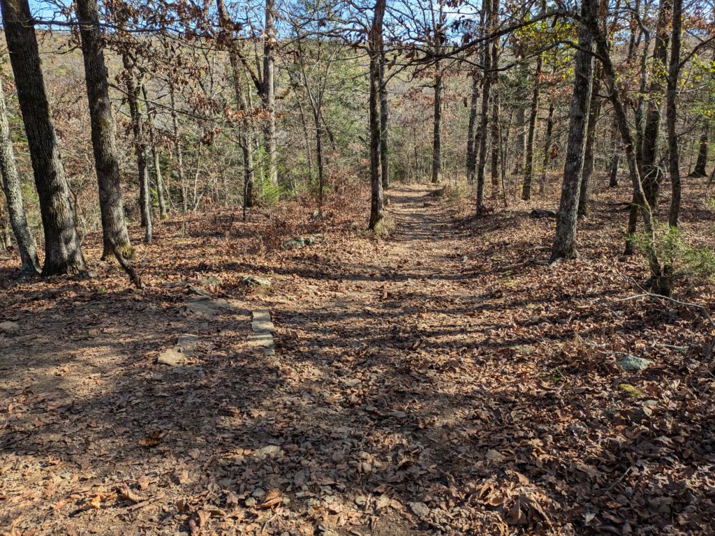 pxl_20241112_181914522.jpg