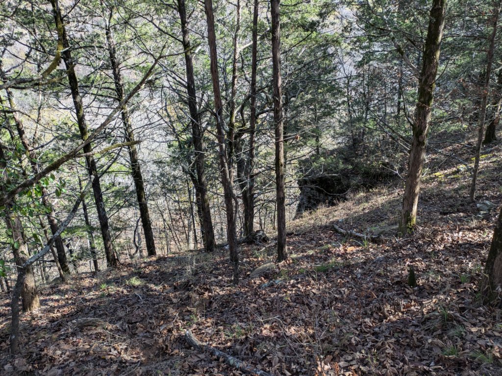 pxl_20241112_182155200.jpg