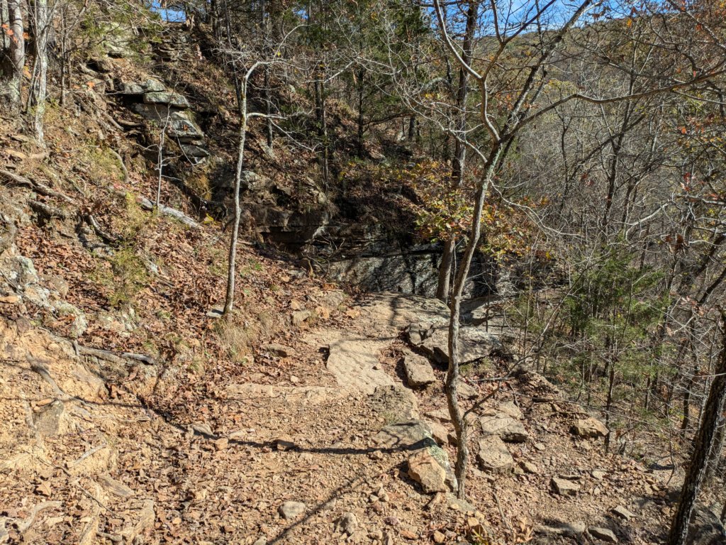 pxl_20241112_182605027.jpg