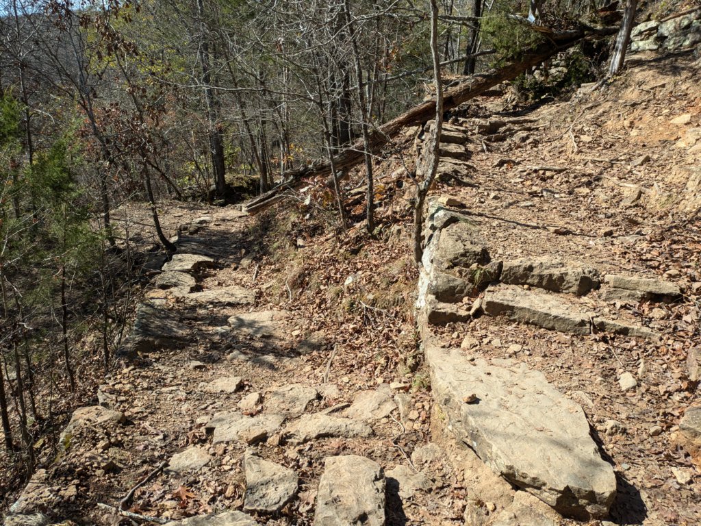 pxl_20241112_182622014.jpg