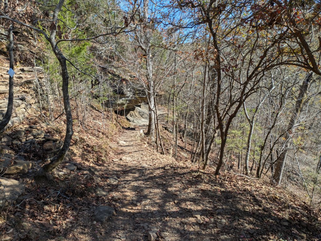 pxl_20241112_182651985.jpg