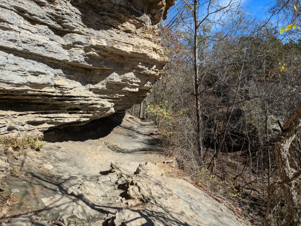 pxl_20241112_182816596.jpg