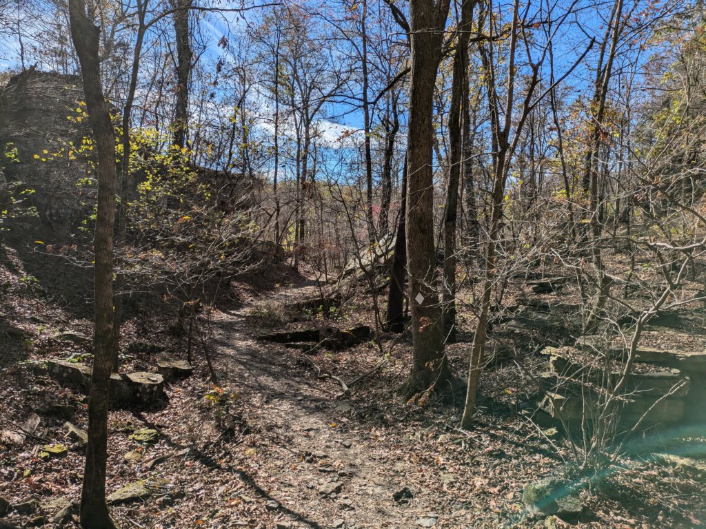 pxl_20241112_183139527.jpg