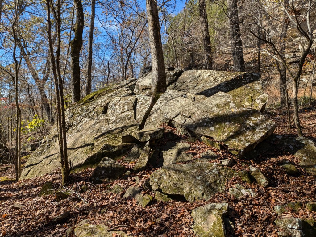 pxl_20241112_183215617.jpg