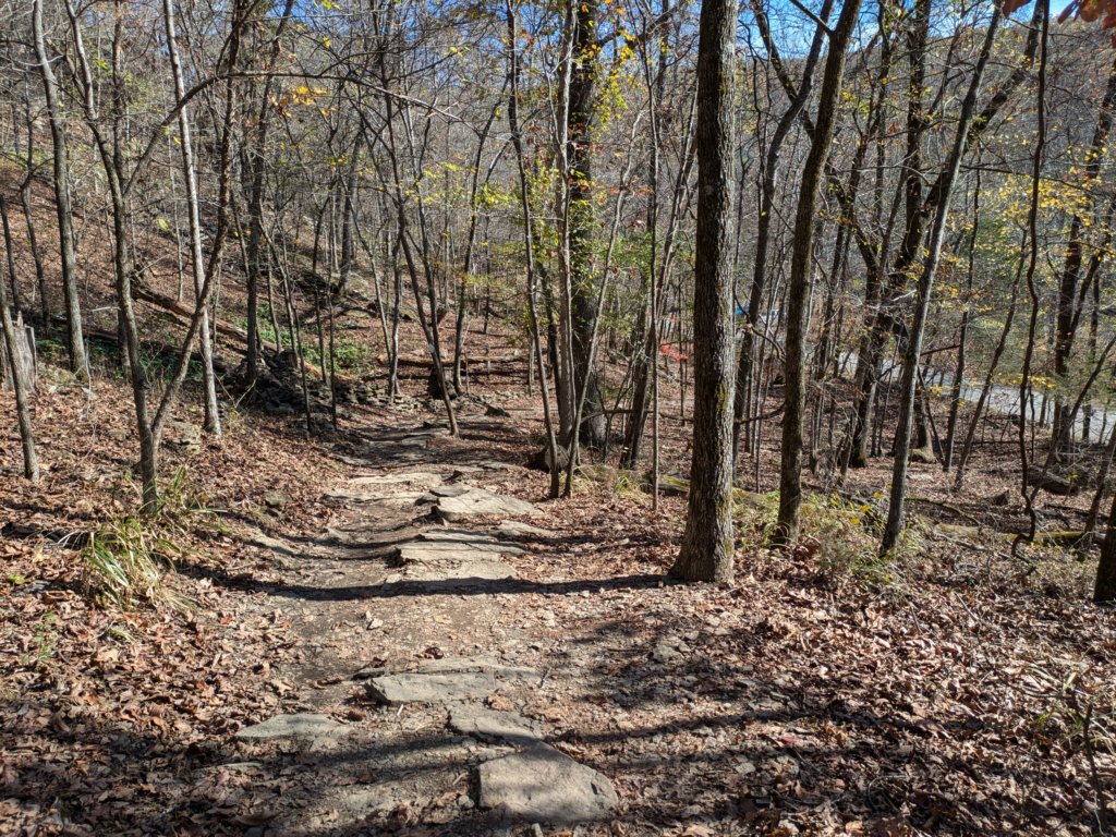 pxl_20241112_183415540.jpg